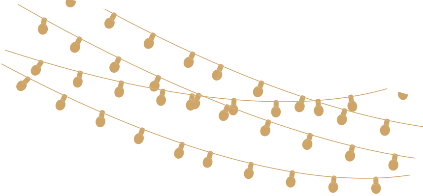 Decorative lights